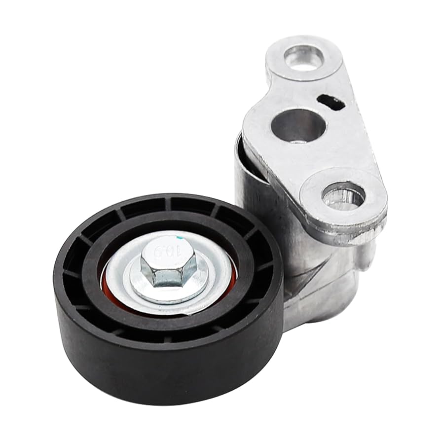 【追跡発送】ティンカーベル　sr エンチャンテッド サーペントライジング・オブシディアナス］ | Whiplash factory